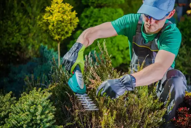landscaping services Thibodaux